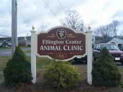 Ellington Center Animal Clinic Doing What's Best for Pets